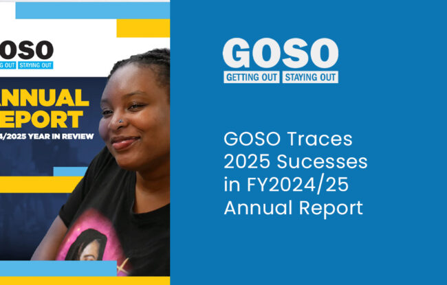 GOSO Annual Report